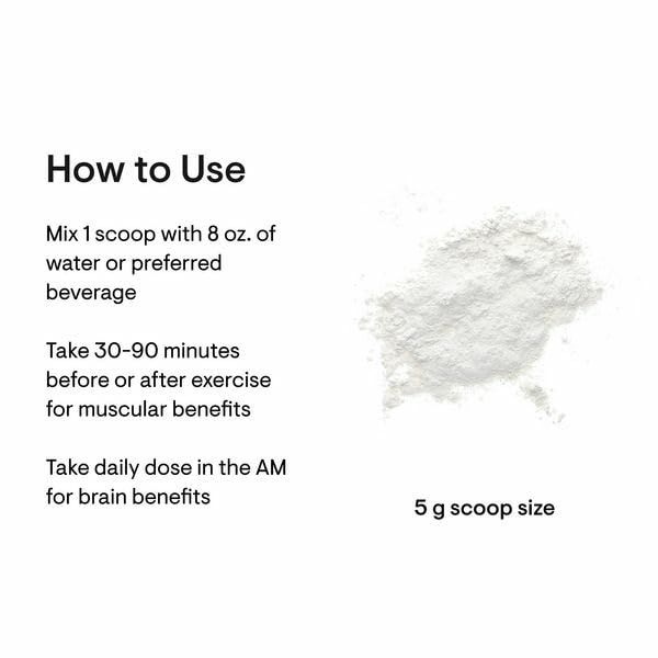 THORNE Creatine – Micronized Creatine Monohydrate Powder, 5 g Serving, 180 Servings, NSF Certified for Sport