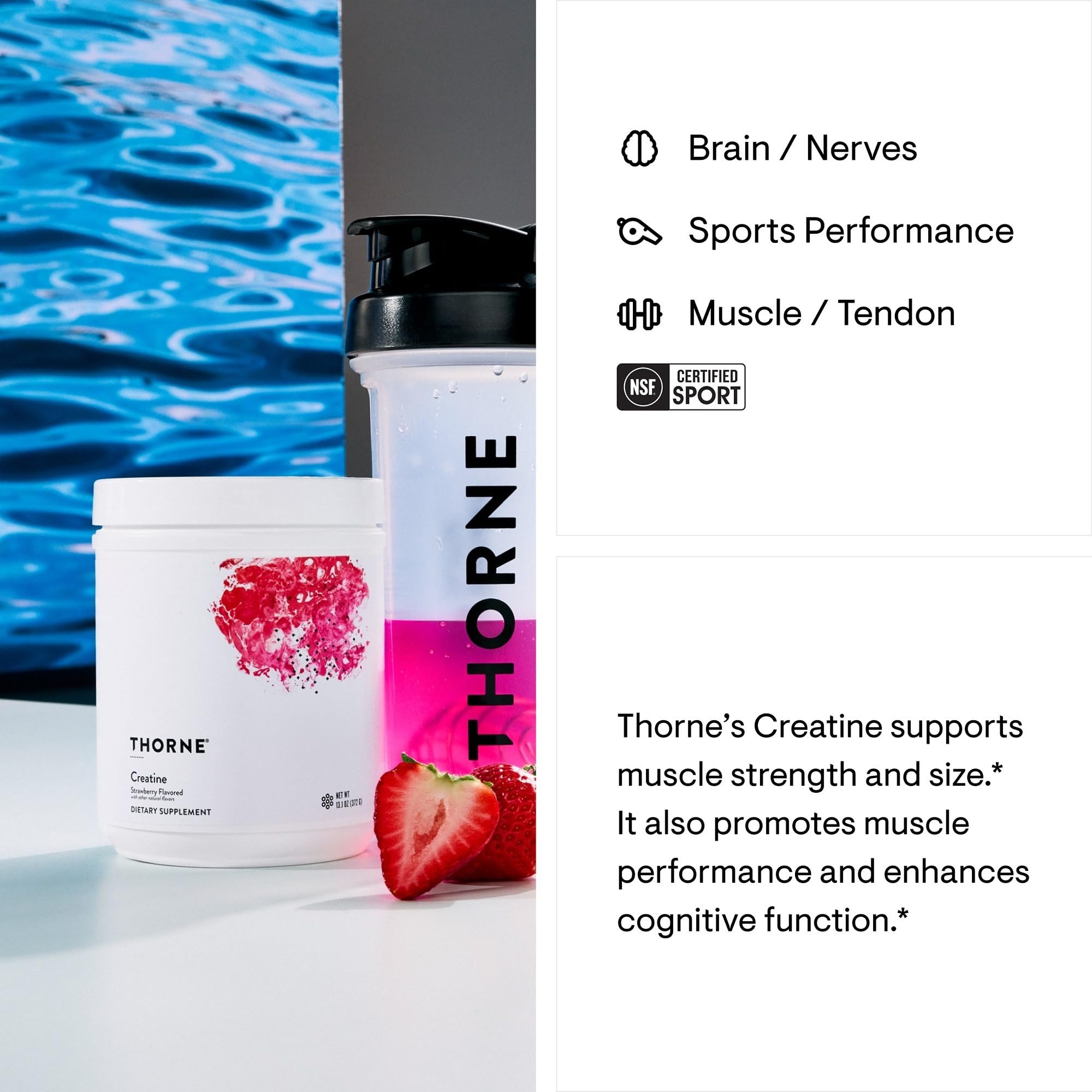 THORNE Creatine – Micronized Creatine Monohydrate Powder, Strawberry, 60 Servings | NSF Certified for Sport