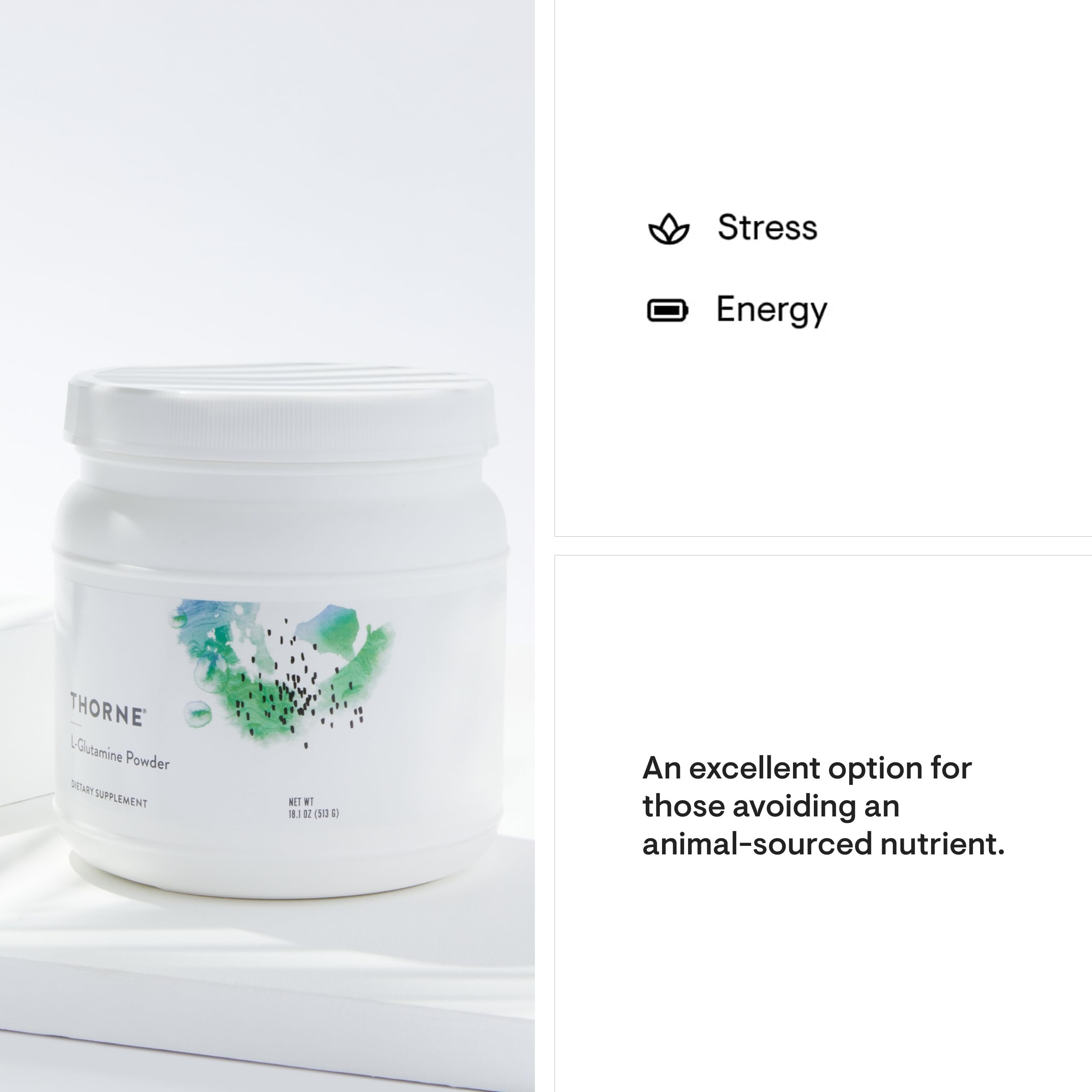 THORNE L-Glutamine Powder – GI Health, Nerve Support & Immune Function | 17.8 oz