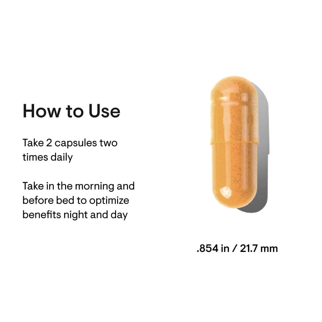 THORNE Metabolic Health – Gut Health & Weight Management with Bergamot & Turmeric (60 Servings)