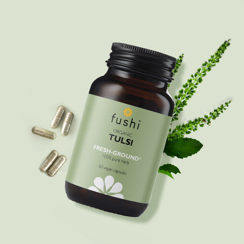 Organic Tulsi (Holy Basil)
